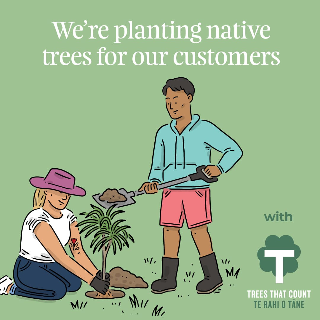 Native trees planted for every Giustizieri Vecchi customer, fostering environmental stewardship